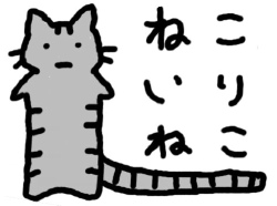 ねこいりねこ