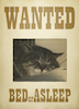 wanted.jpg